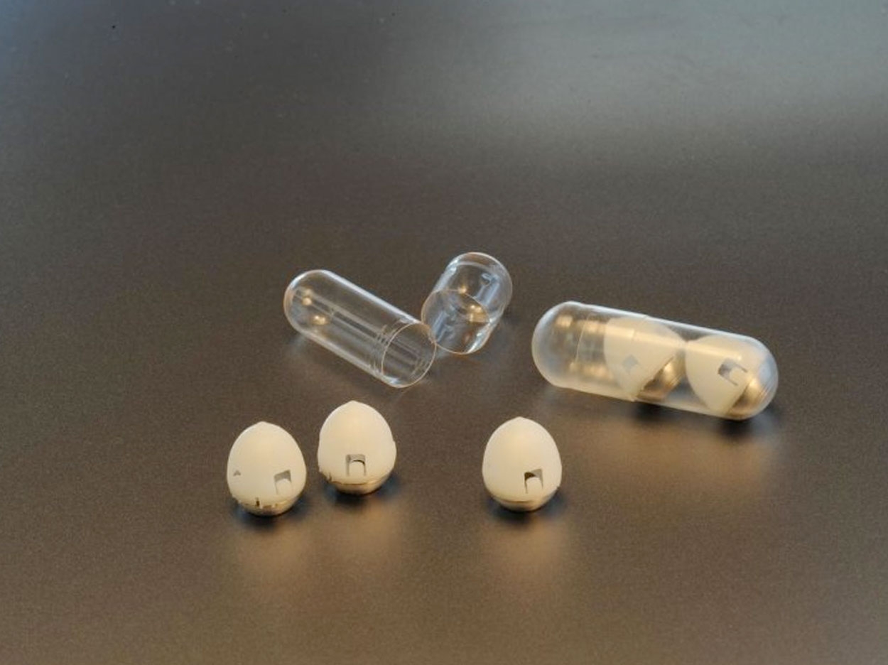 An MIT-led research team has developed a drug capsule that could be used to deliver oral doses of insulin. Credit: Felice Frankel