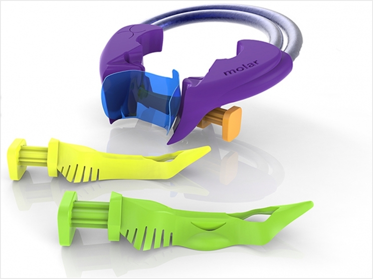 The Bioclear Biofit posterior matrix system