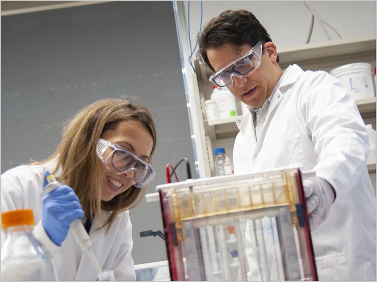 Assistant professor Marco Magalhaes with research associate Denise Lopes Eymael. Photo by Jeff Comber.