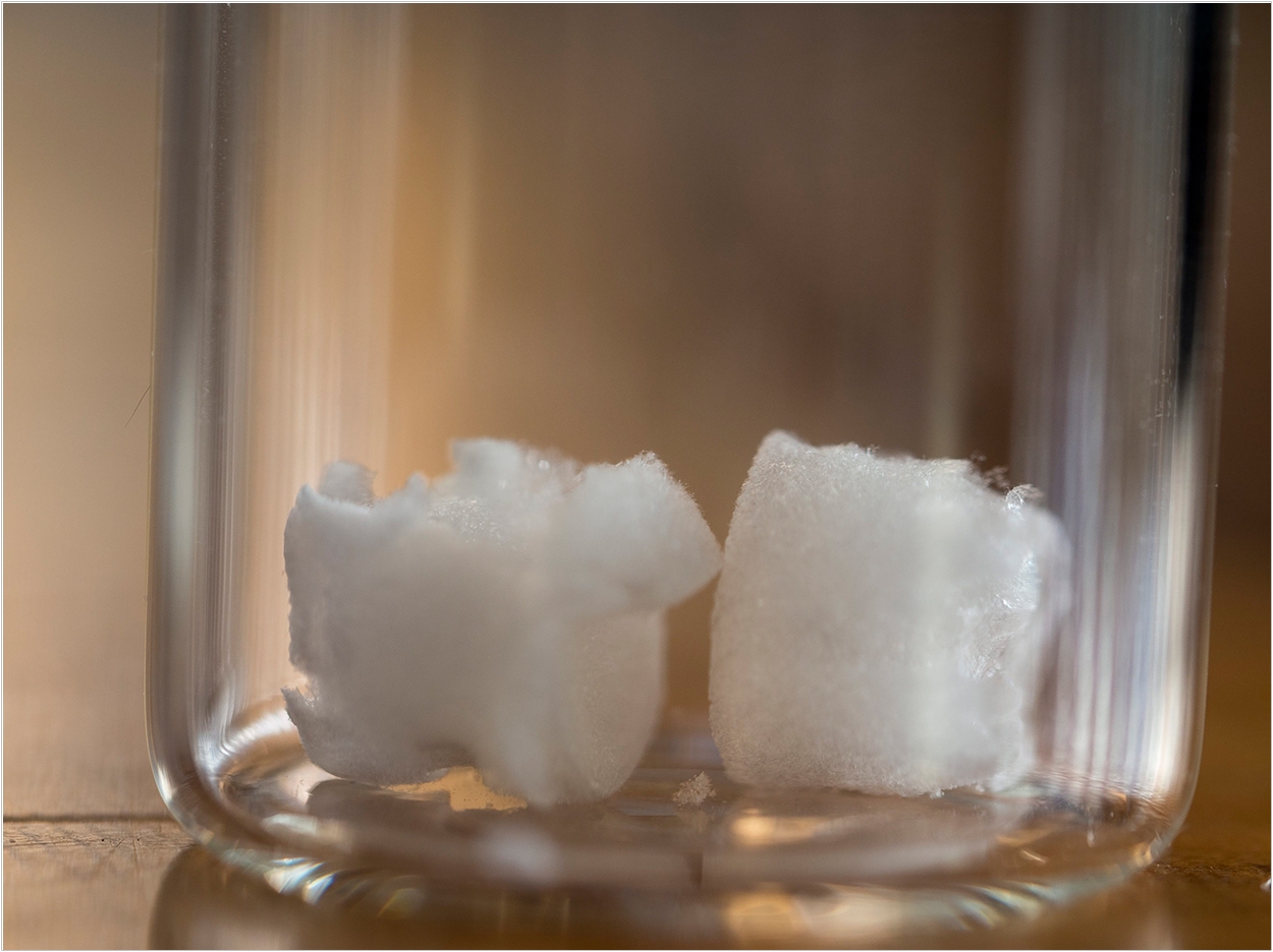 The nanocrystal cellulose aerogel can be injected into the body to provide scaffolding for the growth of new bone. Clare Kiernan/UBC