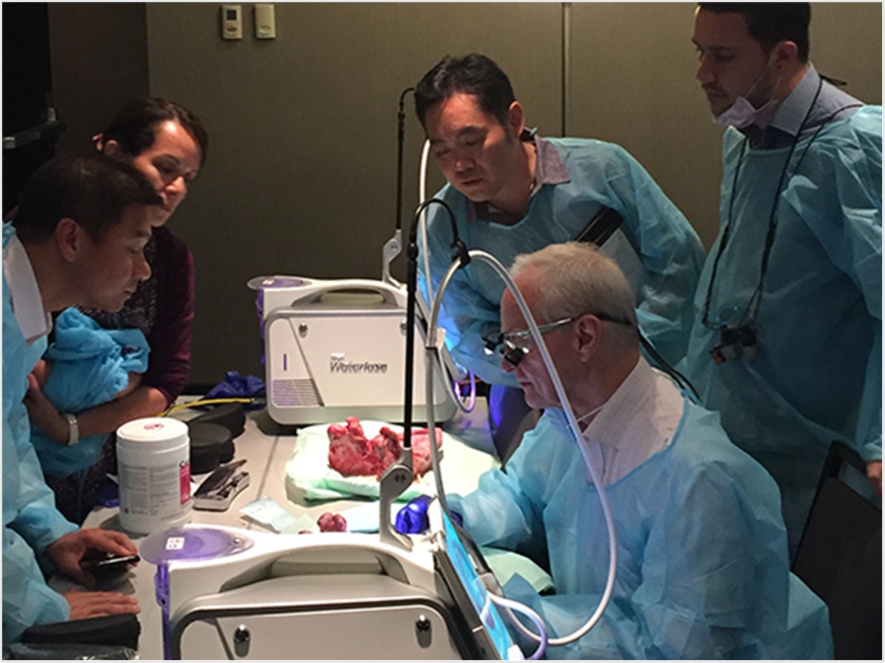 Samuel B. Low, DDS, MS, Med, has been named secretary of the Academy of Laser Dentistry.