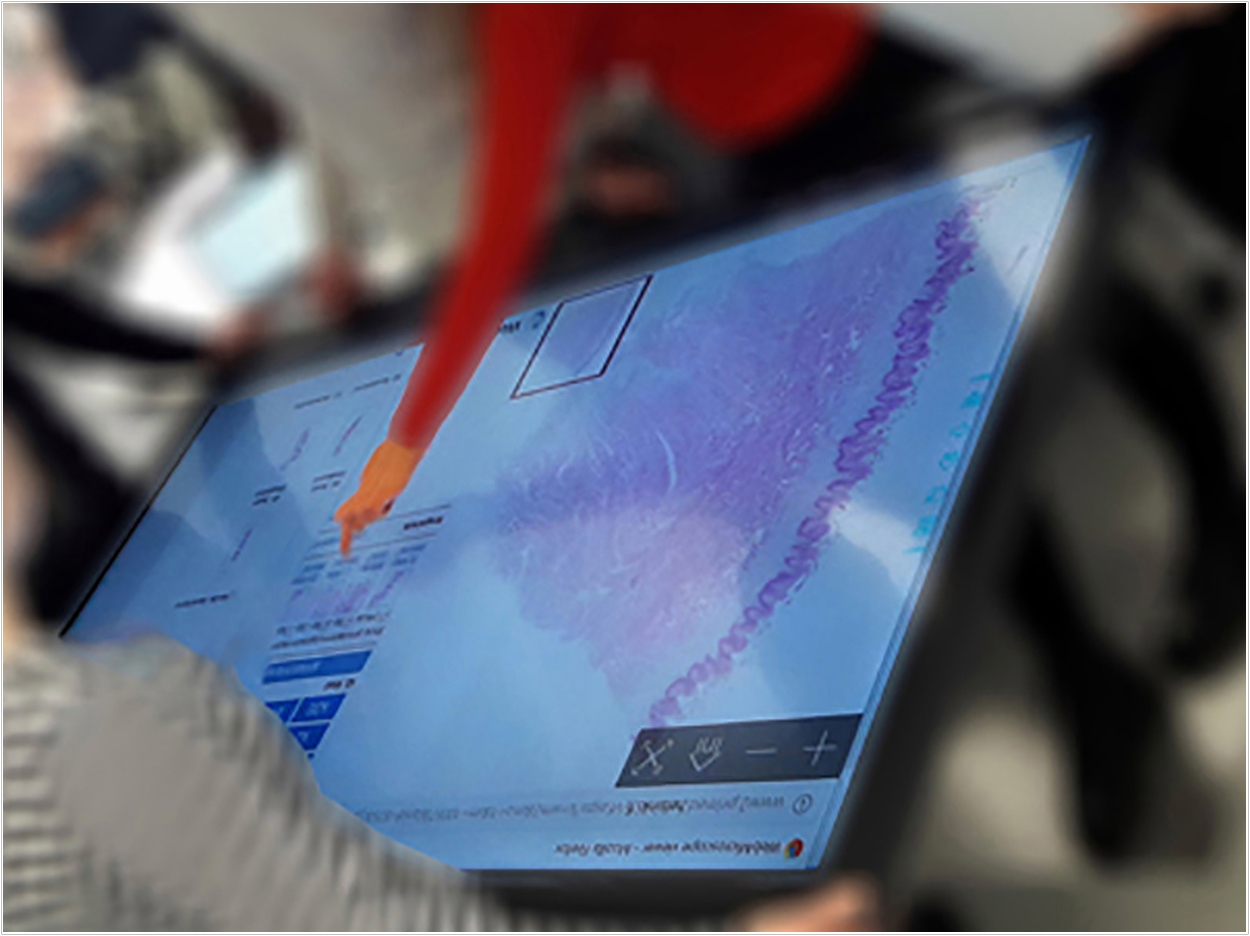 Table-size touchscreens enable students to collaborate as they analyze virtual tissue samples.