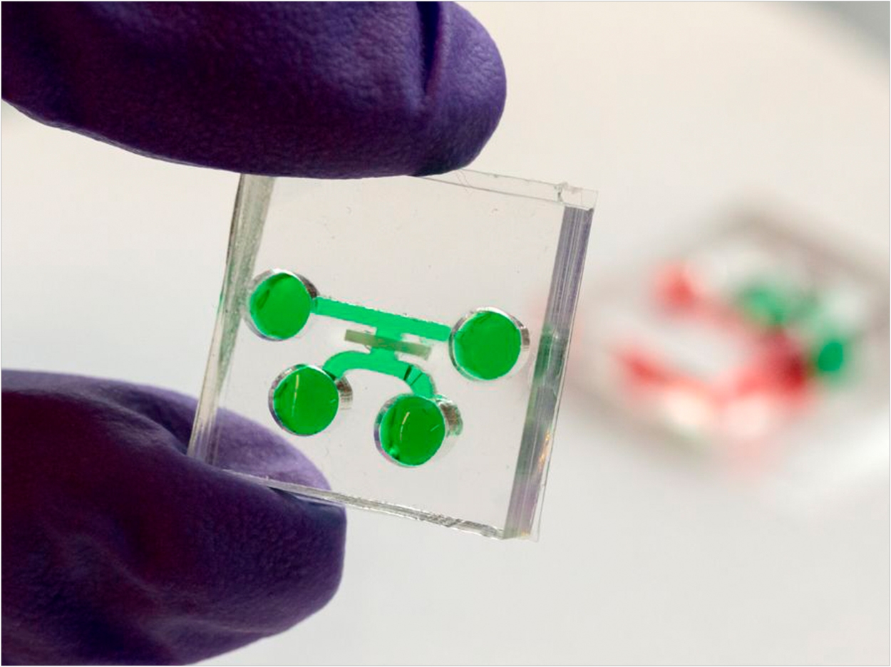 A new device called OHSU/Kristyna Wentz-Graff