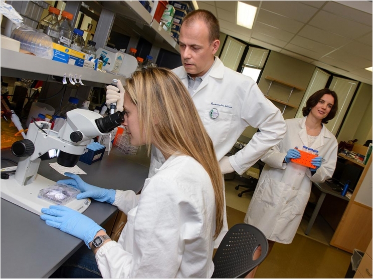 Dr. Ivo Kalajzic (center) in his lab with research assistant Mariangela Basile (left) and assistant research professor Brya Matthews. Photo by Janine Gelineau