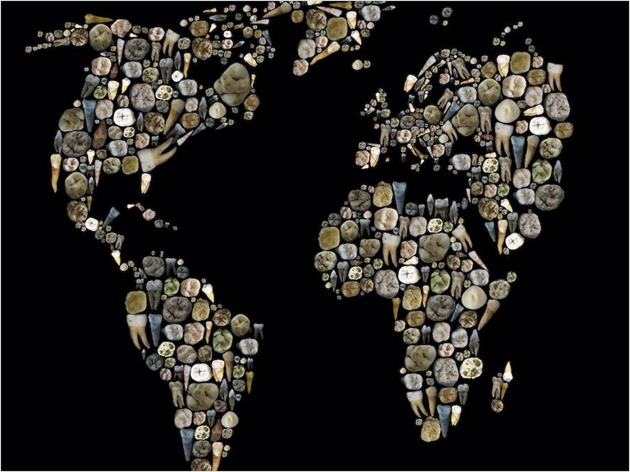 A mosaic world map made from various human teeth. Photographs made at the Osteological Collection, University of Tübingen.