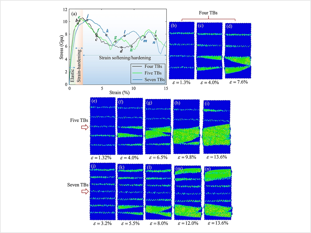 The findings provided significant insight into the behavior of twin boundaries and pre-existing defects in shape memory ceramics. These simulations illustrate: (a) Stress-strain relations of four-, five- and seven-twin boundaries (TB) YSTZ nanopillars. The elastic, strain-hardening, and strain softening/hardening regions of four- and five-TB pillars are denoted by shadows with different colors. The seven-TB pillar regions shift at about 1% strain to the right. Snapshots in (b–n) correspond to strain points b-n (a). Atoms in b–n are colored by coordination number (CN). Blue and green atoms represent tetragonal and monoclinic phases, respectively. Atoms with other colors stand for disarranged structures. Credit: N. Zhang and M. Asle Zaeem, Colorado School of Mines