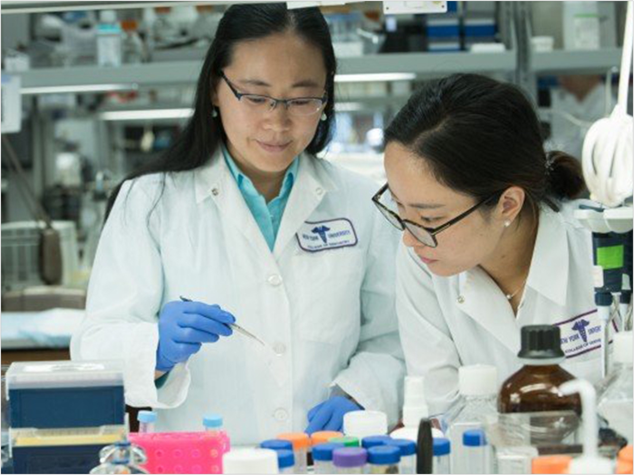 NYU Dentistry researchers Xin Li (left) and Yuqi Guo (right)