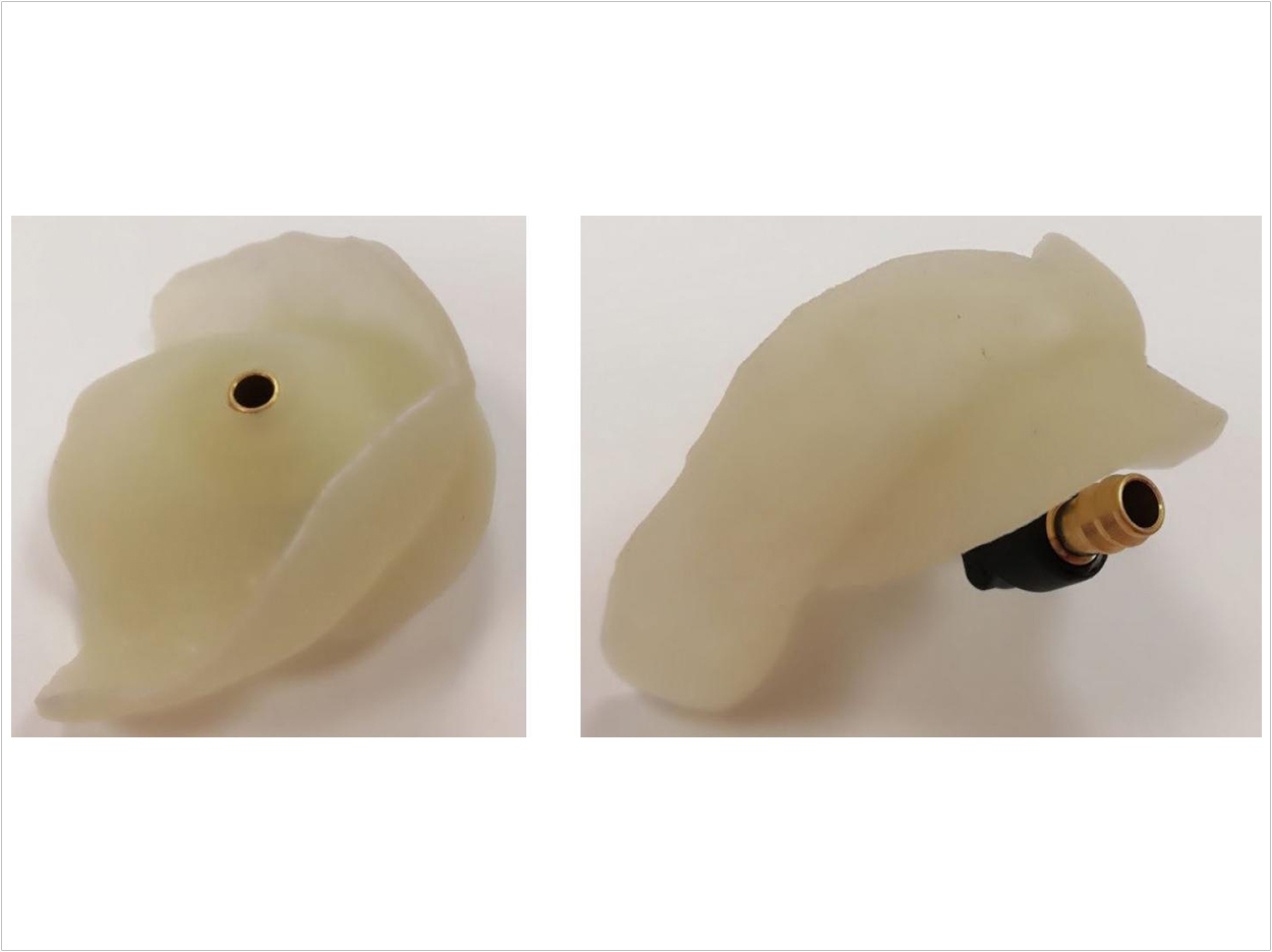Internal palatal surface (left) and side view (right) of the designed custom tray. Dobromira Shopova, PhD