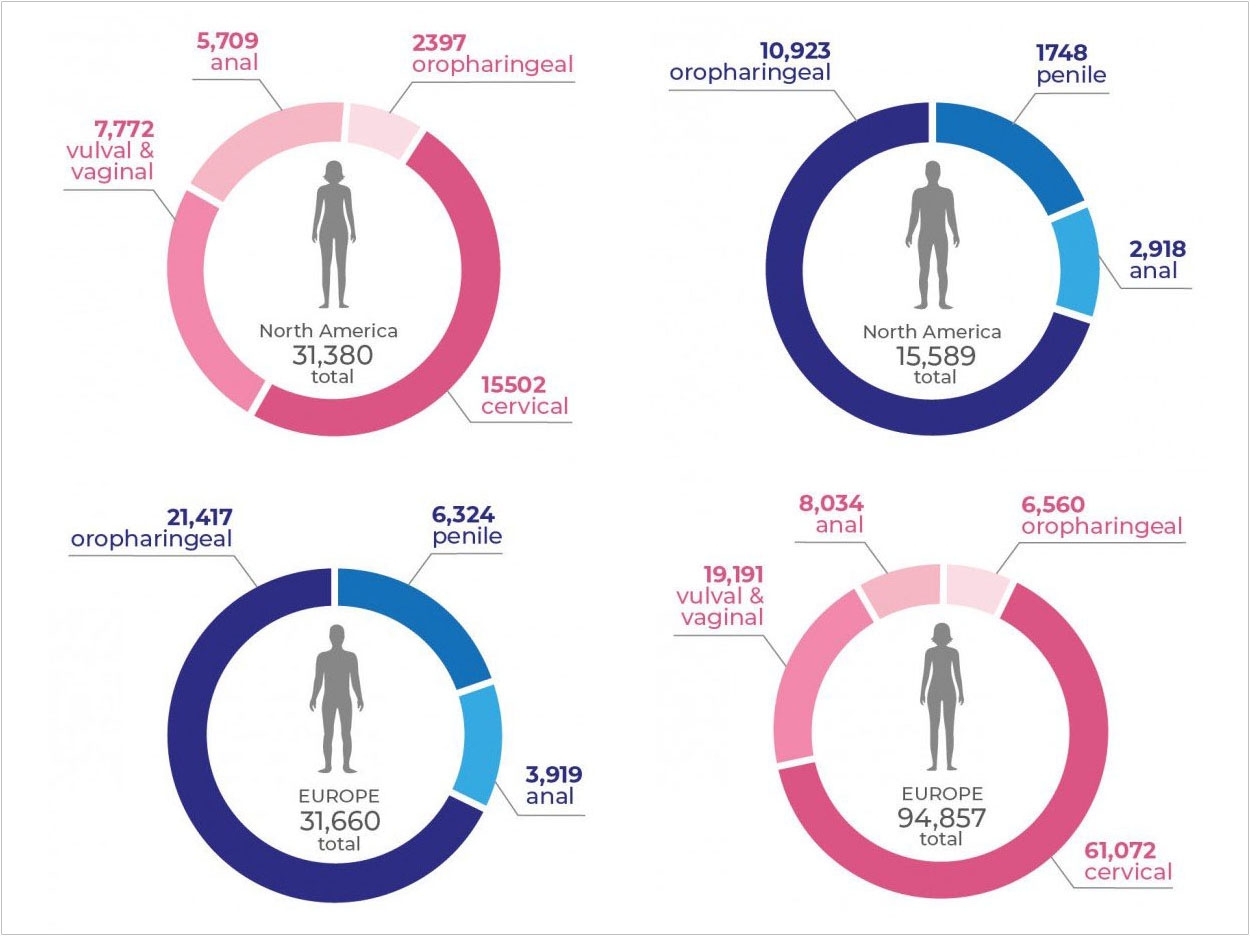 Annual incidences in men and women of cancer types induced by HPV 16, showing both Europe and North America. Globocan 2018