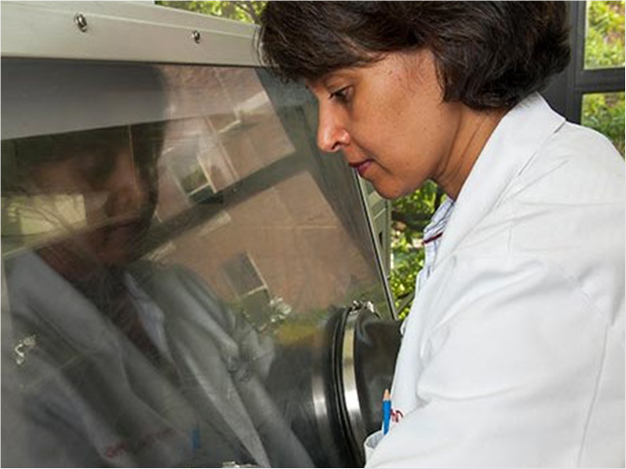 Dr. Purnima Kumar in her lab.