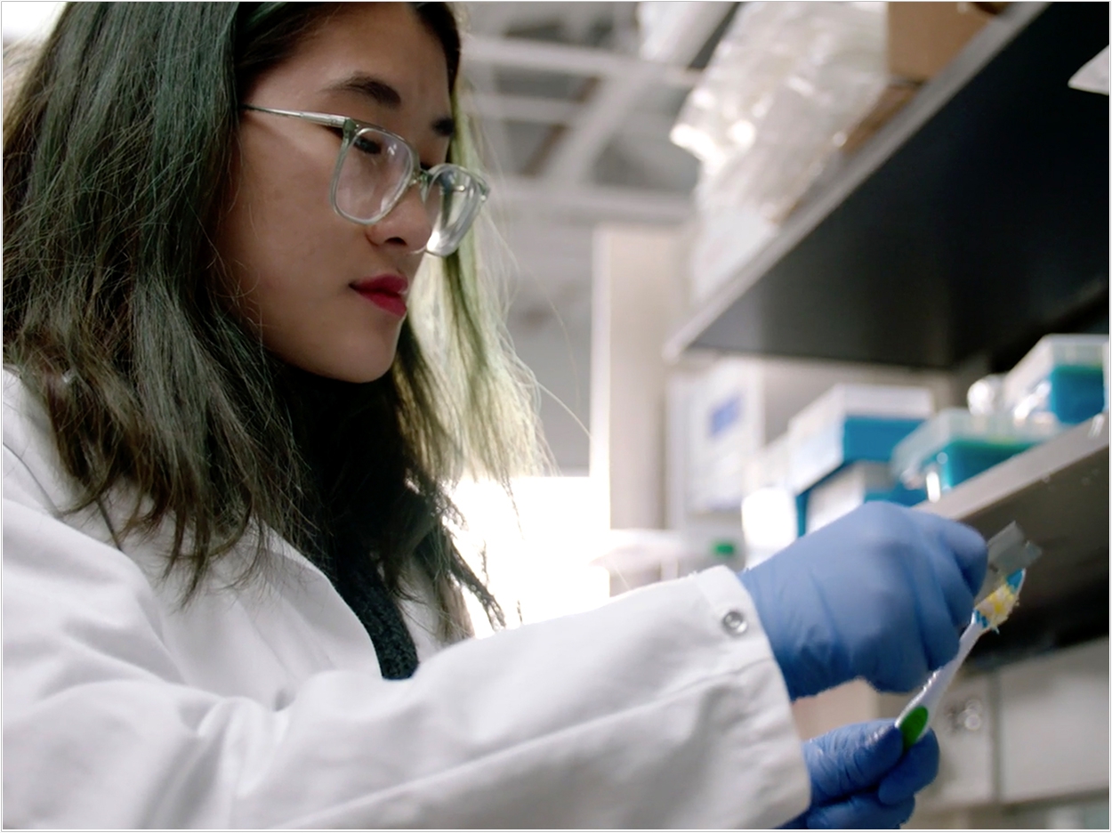 Mia Tran, an undergraduate researcher in Erica Hartmann’s laboratory, removes bristles from a toothbrush for testing.