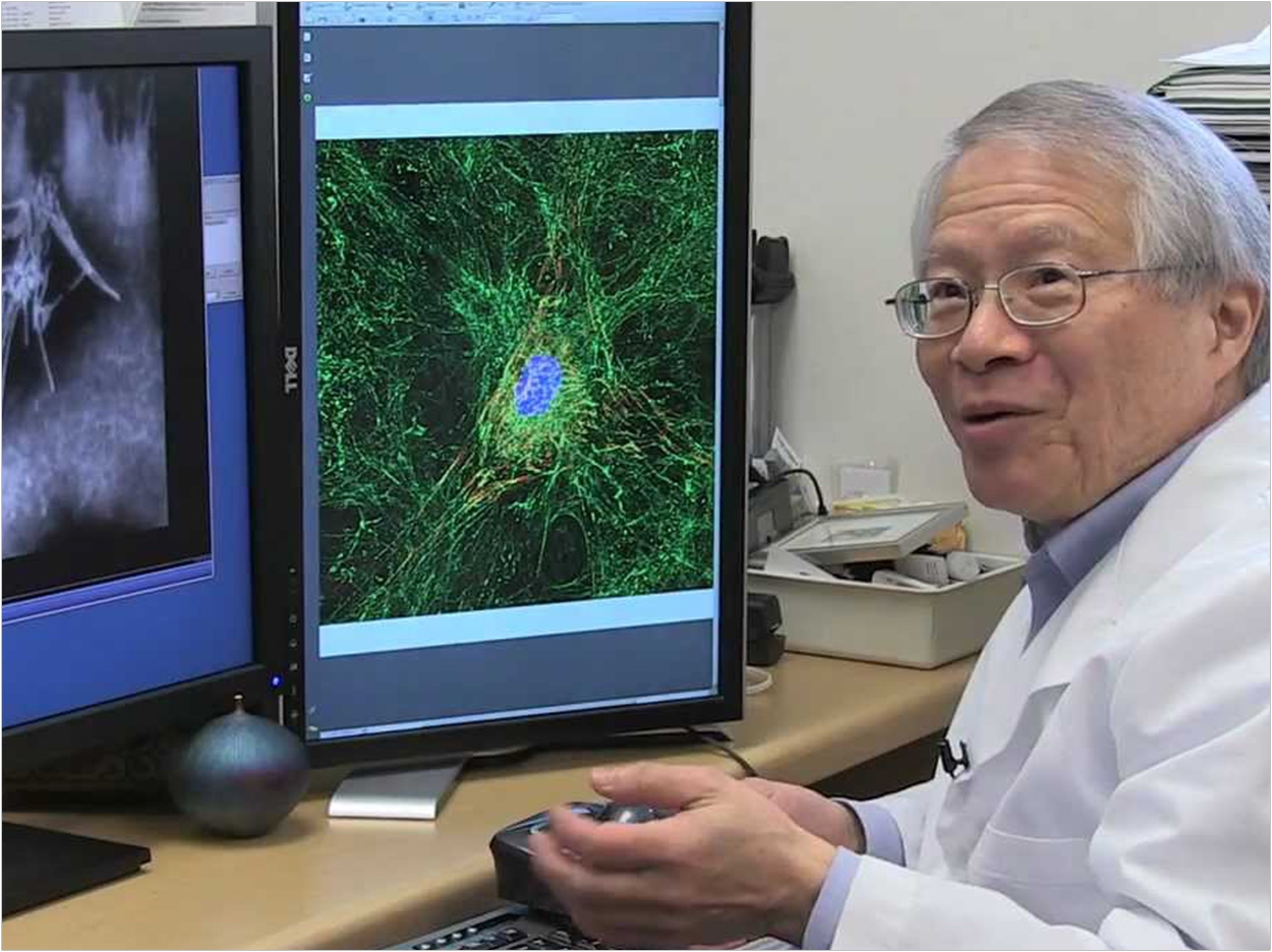 Ken Yamada, MD, PhD