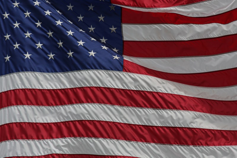veterans, Veterans Day, delta dental