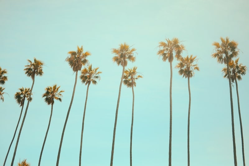 brand new day, medicare, California