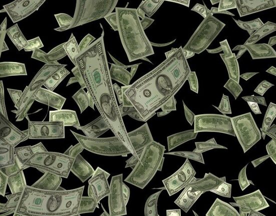 envista, envista holdings corporation,