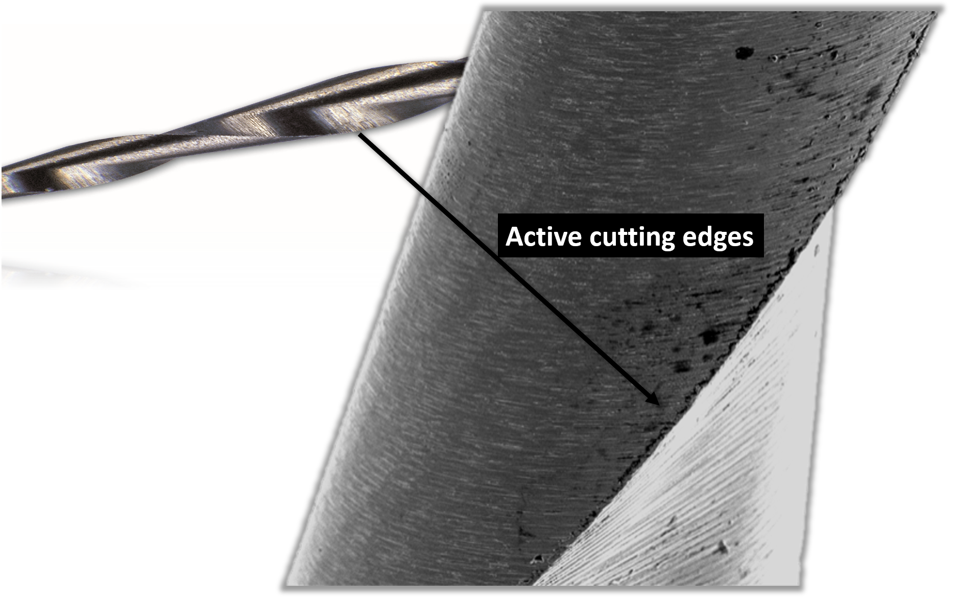 heat-treated niti endodontic files