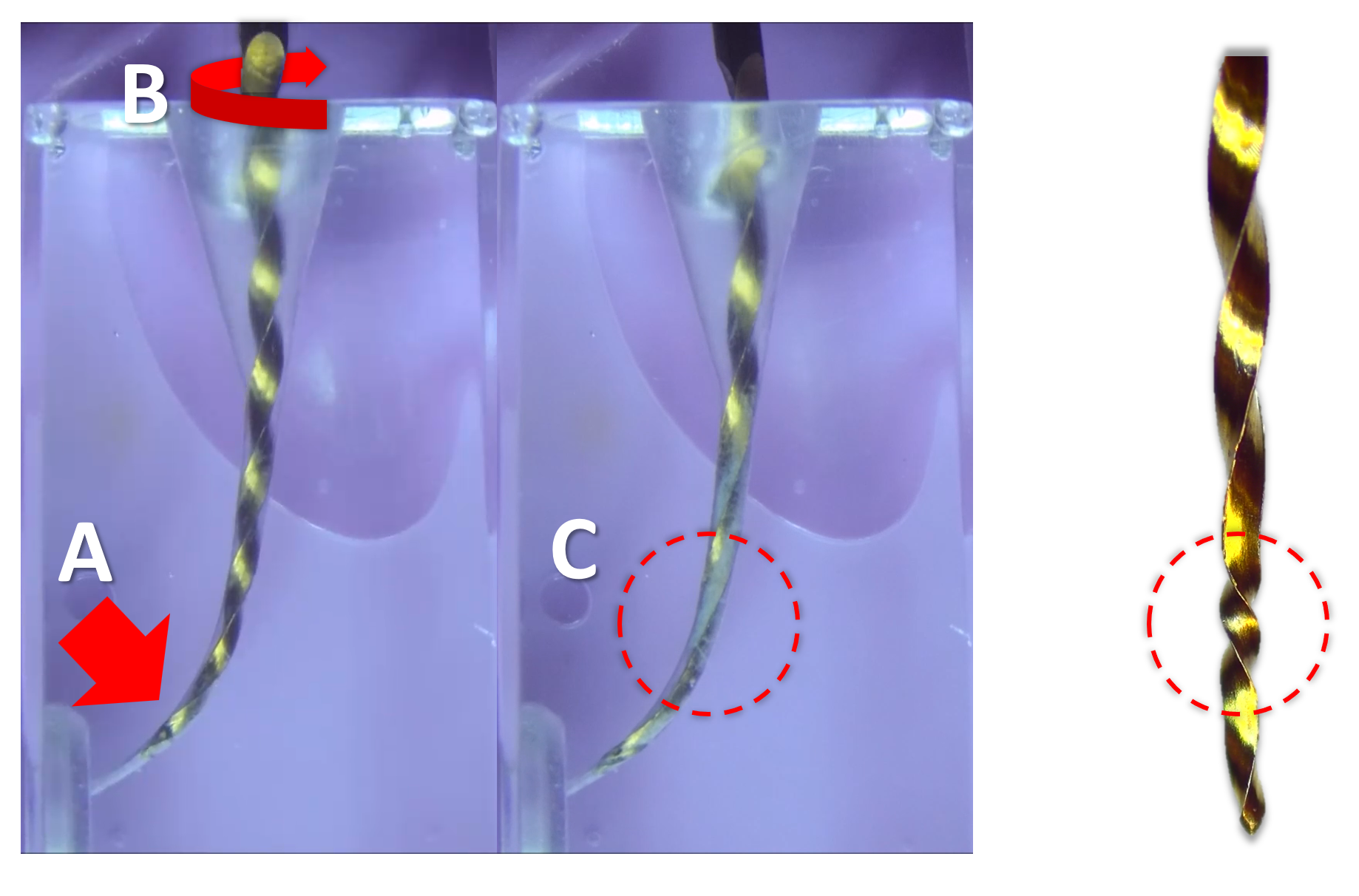 heat-treated niti endodontic files