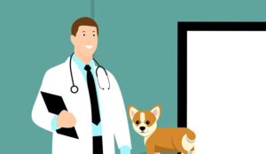 dentalis animal health