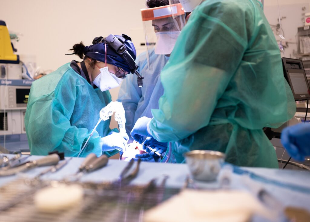 Dugoni School of dentistry