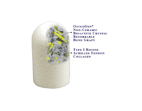 grafting solution, osteogen