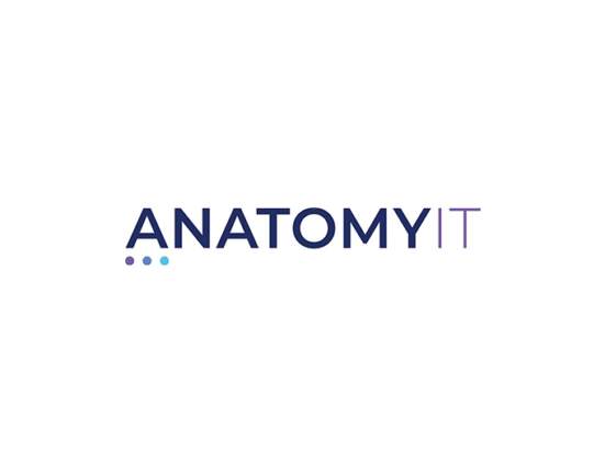 anatomy IT