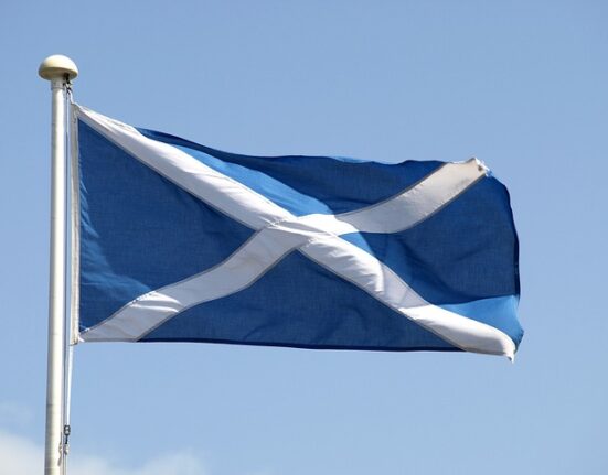 Scottish dental sector